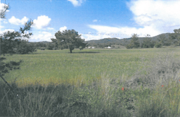 Countryside plot with mountain views and road access for sale