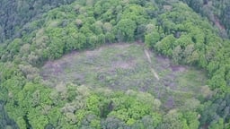 Plot for Sale in Kırklareli