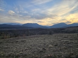 Land for sale in Borovitsa, Belogradchik