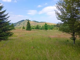 Plot for sale in Repliana, Chiprene
