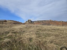 Plot for Sale