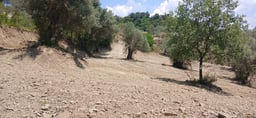 Land for sale in Picallë, Tirana